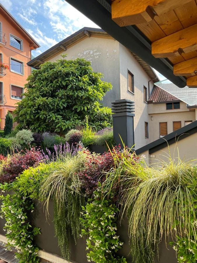 Luxury Lakefront Penthouse Lezzeno Buitenkant foto